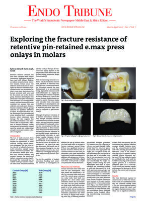 Endo Tribune Middle East & Africa No. 2, 2017
