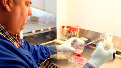 Nuova scoperta nell’ancoraggio all’osso degli impianti in titanio