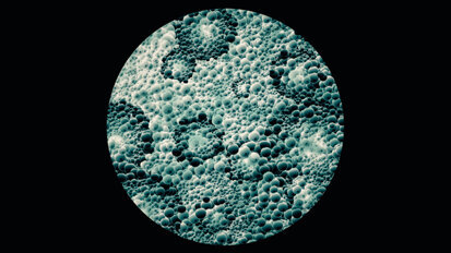 I have a dream: il cavo orale finestra della salute