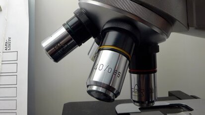 Polsko-amerykańskie badania komórek macierzystych