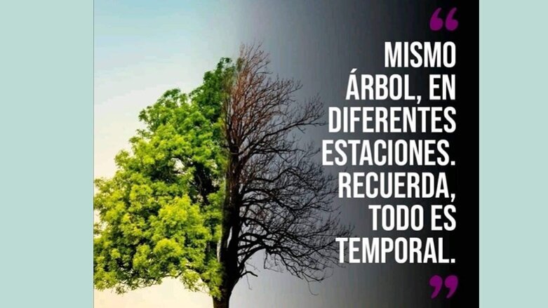 ¿Ansiedad en los odontólogos? “¡No, qué va!”