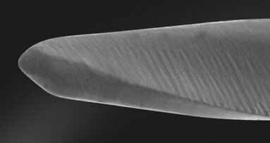 Endodontie en 2015 : Sécurisez vos traitements canalaires avec One G et One Shape®