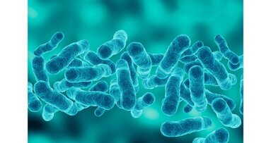 Bacteriën ontdekt die hoofd-halskanker kunnen bestrijden