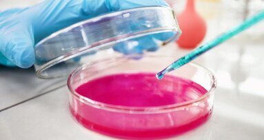 Diptool – polskie narzędzie do szybkiej identyfikacji nowych leków antybakteryjnych