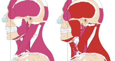 Posturologia e Odontoiatria: un connubio possibile?