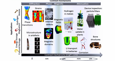 Tomografia nêutron oferece insights sobre o interior dos dentes
