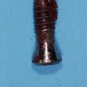 Fig6-e1569998168193-300x300-