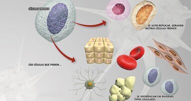 Cellule staminali in odontoiatria implantare