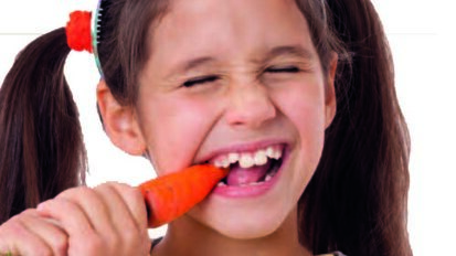 Η σύγκλειση και η μάσηση διεγείρουν την ανάπτυξη των δοντιών