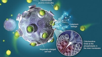 O klorheksidinu