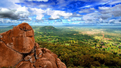 UNIDI partners with FDI for joint dental event in Africa