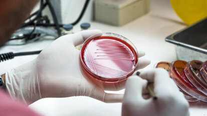 Research reveals the power of the body’s defense systems