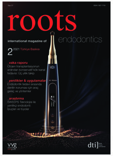 roots Turkey No. 2, 2021