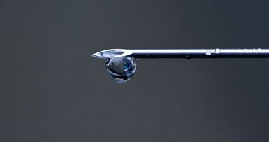 非一次性注射器针头的消毒效果并不明显