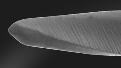 Endodontie en 2015 : Sécurisez vos traitements canalaires avec One G et One Shape®