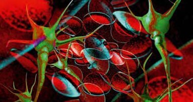 Onaj koji se najbolje prilagodi promjeni, onaj je koji preživljava