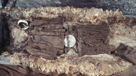 Teeth reveal dynamic life of Bronze Age Egtved Girl