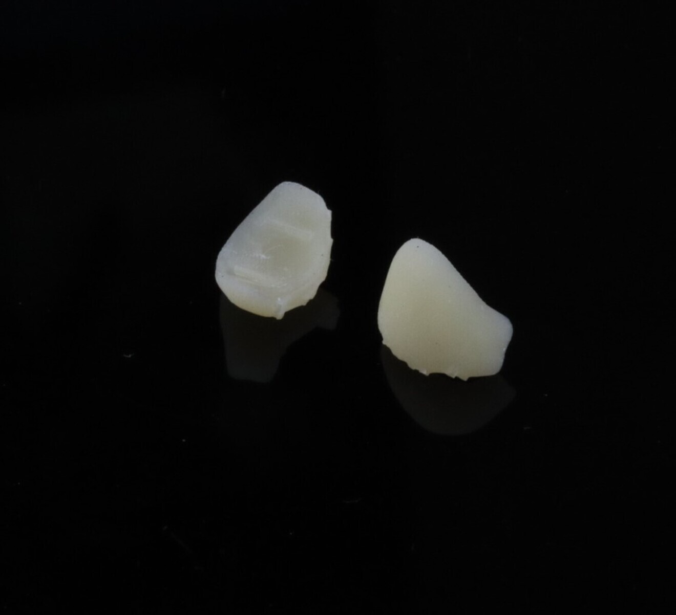 Fig. 13: Veneers printed. 