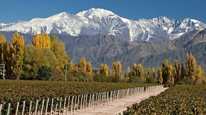 Docente en innovación