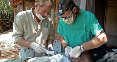 Daktari voor de Masaï – Mobiele mondzorg in de Serengeti