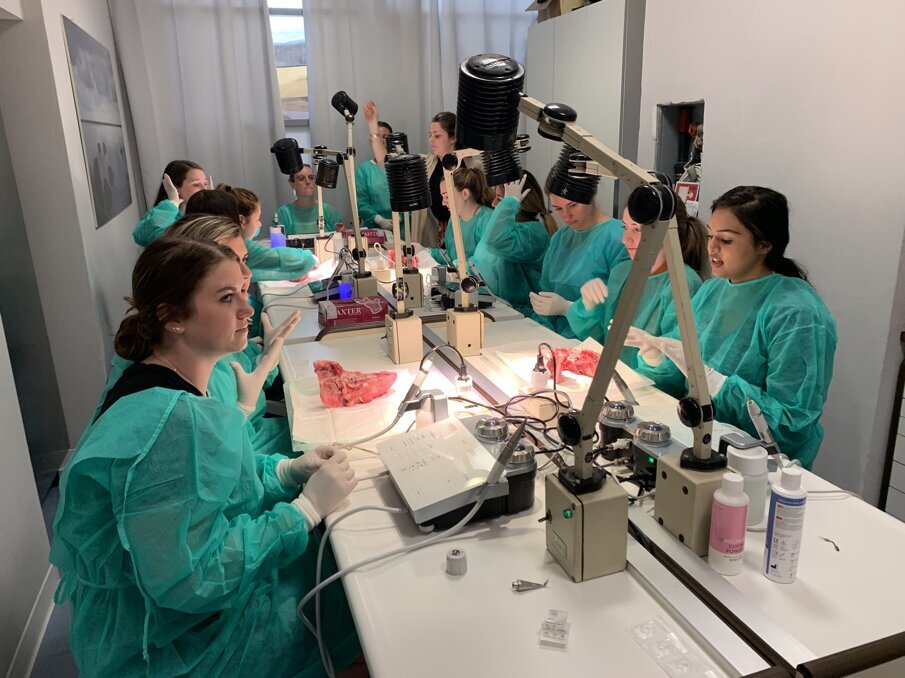 La visita della delegazione della School of Health Sciences presso l'Istituto Stomatologico Toscano (© Fondazione Istituto Stomatologico Toscano).