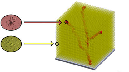 Funktionsfähige Knochen aus dem 3-D-Drucker
