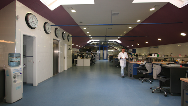 Entrevista con Jesús García Urbano, Director de Ortoplus