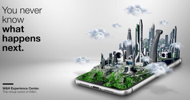 El mundo virtual de W&H