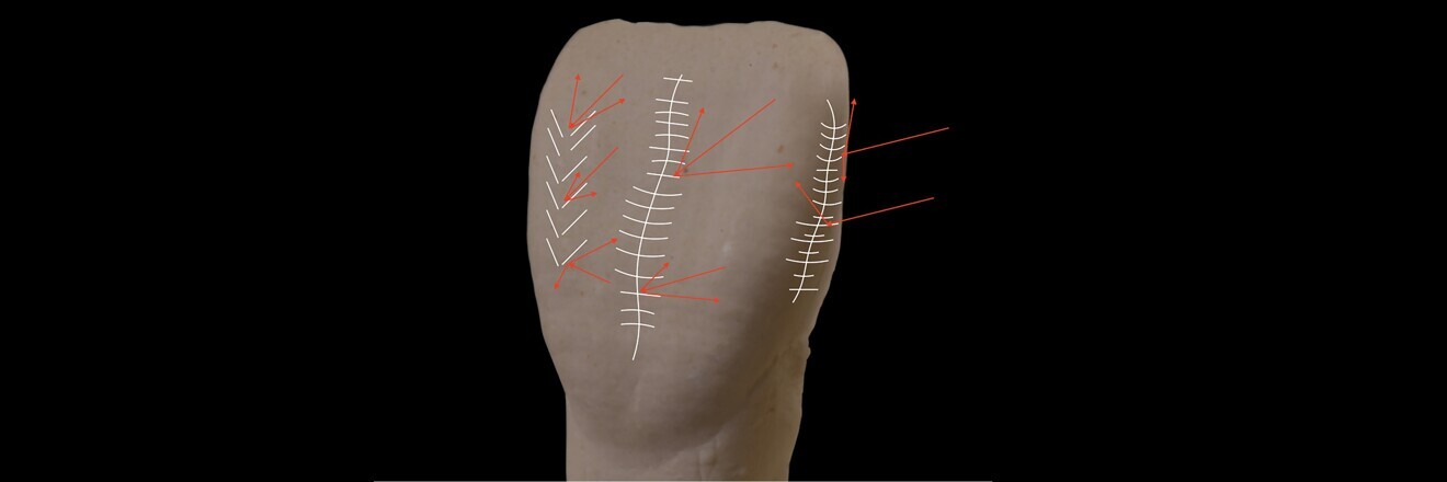 Fig. 1: Directions of the light beam of refraction and reection phenomena.