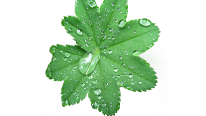 L’oral care tra prevenzione e cosmesi