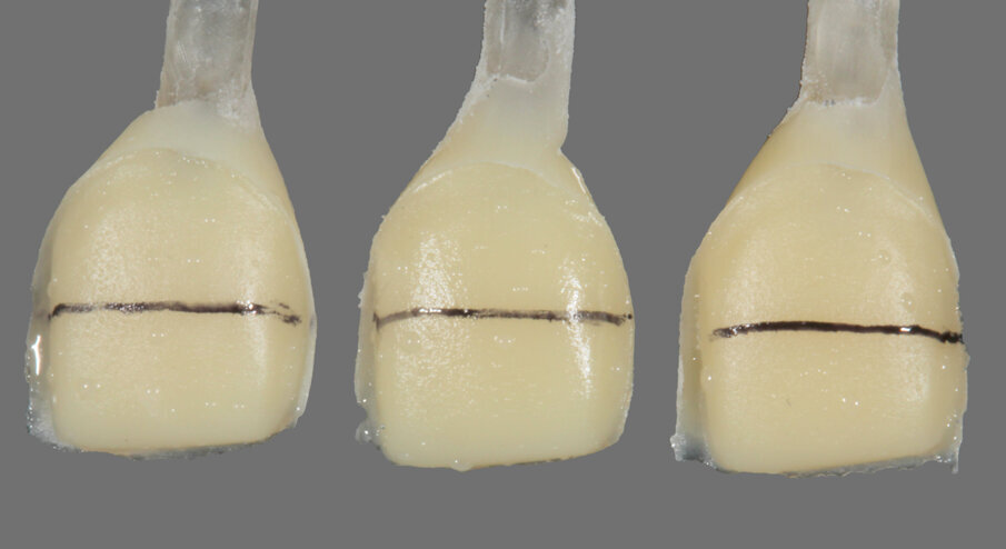 Fig. 2c: ND2 dies with black markings.