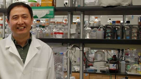 Scientists find someone new to target in periodontitis fight