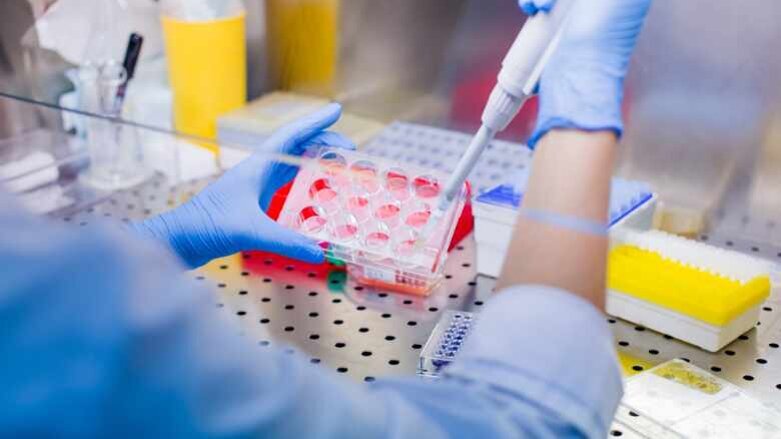 Förderung für Projekt zu parodontalen Mesenchymalen Stammzellen