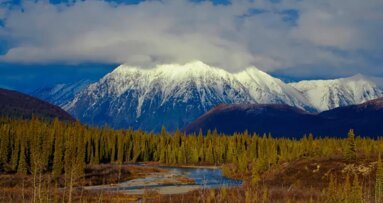 Дигиталната дентална медицина предлага ли решение на казуса с устойчивостта?