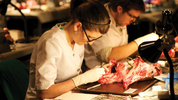 JDIQ to include national gathering of prosthodontists