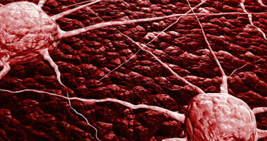 Forscher spüren wandernde Krebszellen auf