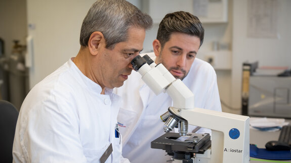 Freiburger Forschung bringt Licht ins Bakteriendunkel im Mund