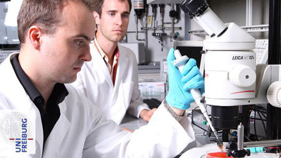 Das Bakterium in der Laser-Falle