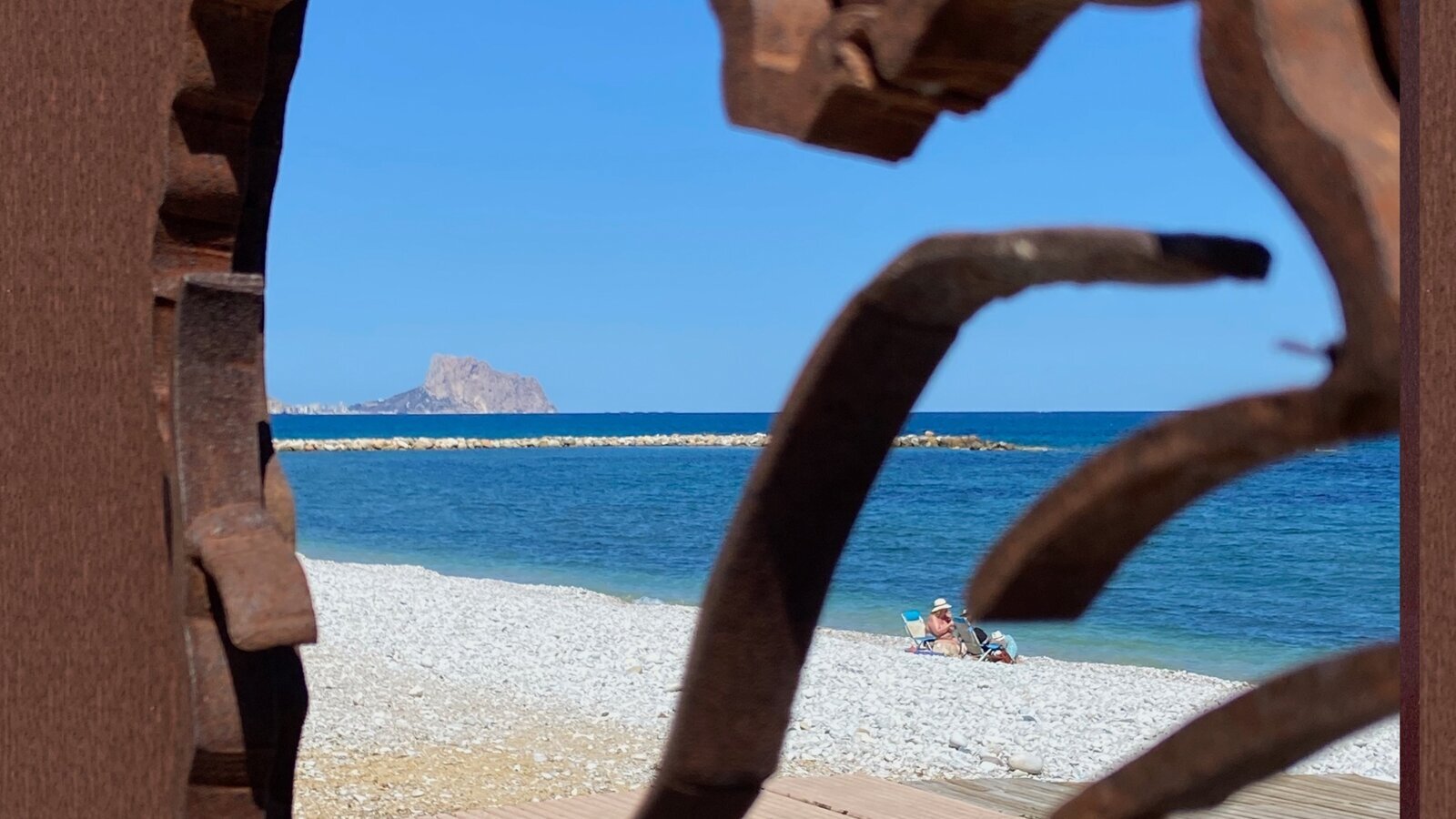 Fitoterapia en la tercera edad (6)