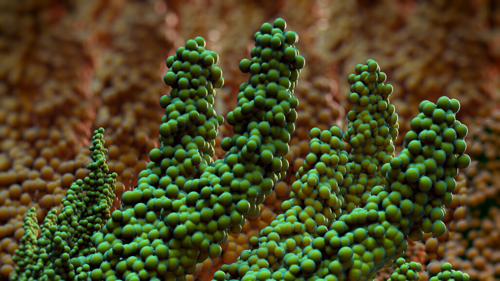 Des chercheurs utilisent l'impression 3D pour créer des biofilms