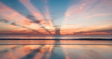 Consejos para sobrevivir una pandemia (1)