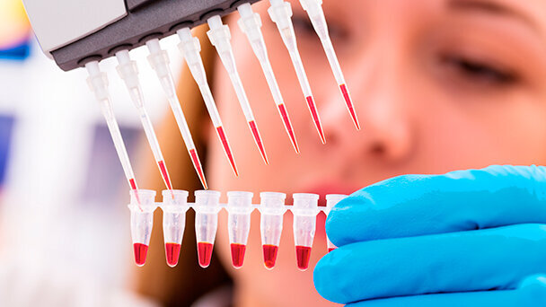 Niente più otturazioni grazie alle staminali: commento a una notizia apparsa su La Stampa