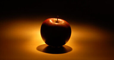 State and local dental societies are honored for outstanding programs