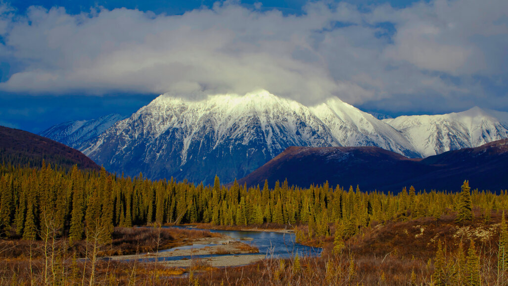 Is digital dentistry the solution to the sustainability dilemma?