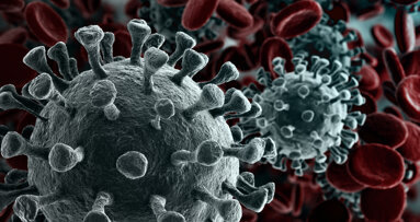 Dentists in Italy face unemployment owing to COVID-19