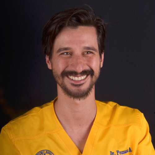 Dr Alessandro Pezzana