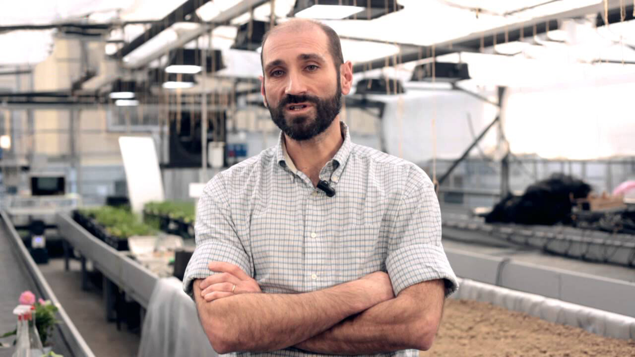 Interview: Diets rich in plant foods are increasingly associated with healthy ageing