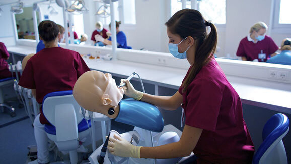 Zahnmedizin zur Probe an der Uni W/H