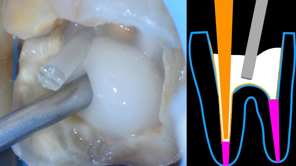 Der Vorteil von Bioaktivität: Bessere Ergebnisse durch biochemische Stimulierung