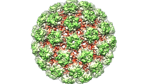 Steeds vaker keelkanker door orale seks